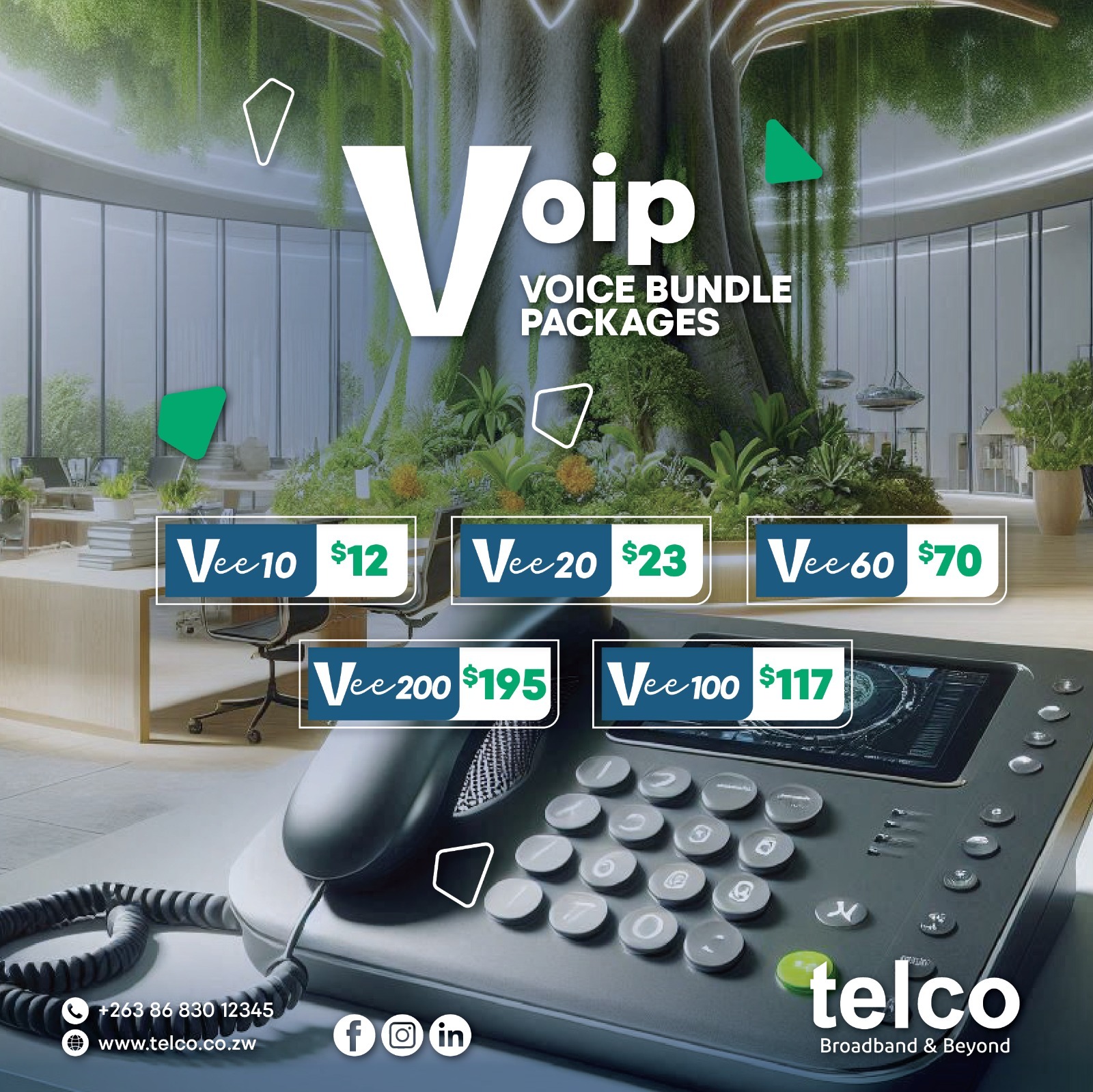 Telco VoIP voice bundle packages — Vee10 through Vee200